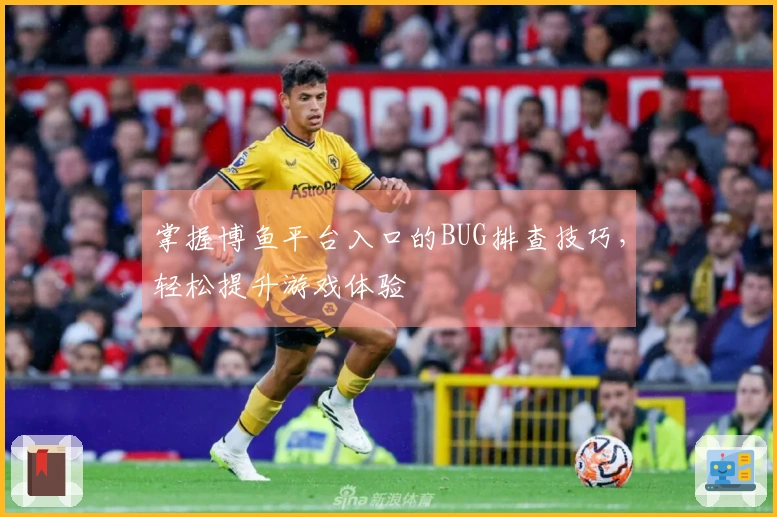 掌握博鱼平台入口的BUG排查技巧，轻松提升游戏体验