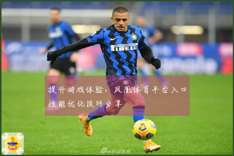 提升游戏体验，凤凰体育平台入口性能优化技巧分享