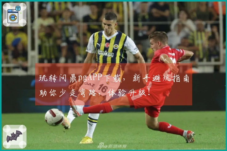 玩转问鼎pgAPP下载，新手避坑指南助你少走弯路，体验升级！