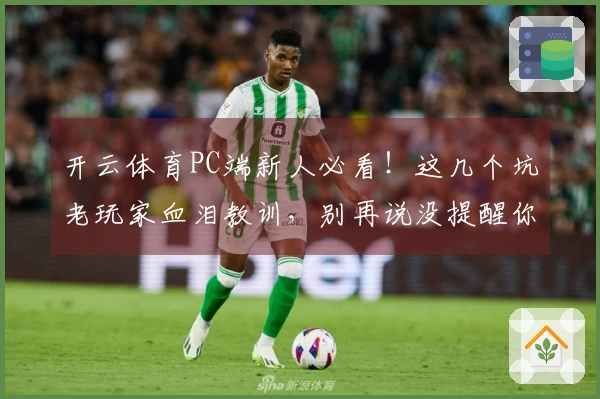 开云体育PC端新人必看！这几个坑老玩家血泪教训，别再说没提醒你了
