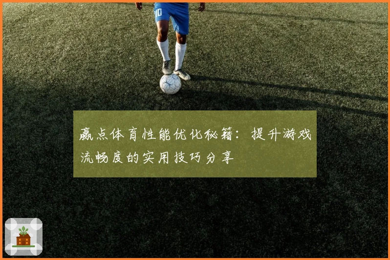 赢点体育性能优化秘籍：提升游戏流畅度的实用技巧分享