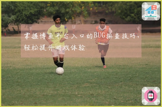 掌握博鱼平台入口的BUG排查技巧，轻松提升游戏体验